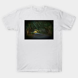 Tunnel Road T-Shirt